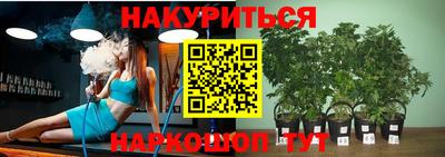 прущие крисы Ирбит
