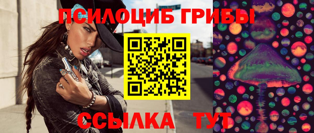 Курчатов  Галлюциногенные грибы GOLDEN TEACHER  наркота  Вход с VPN 
